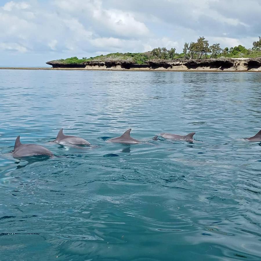 شقة Wasini Raha Snorkeling And Diving المظهر الخارجي الصورة