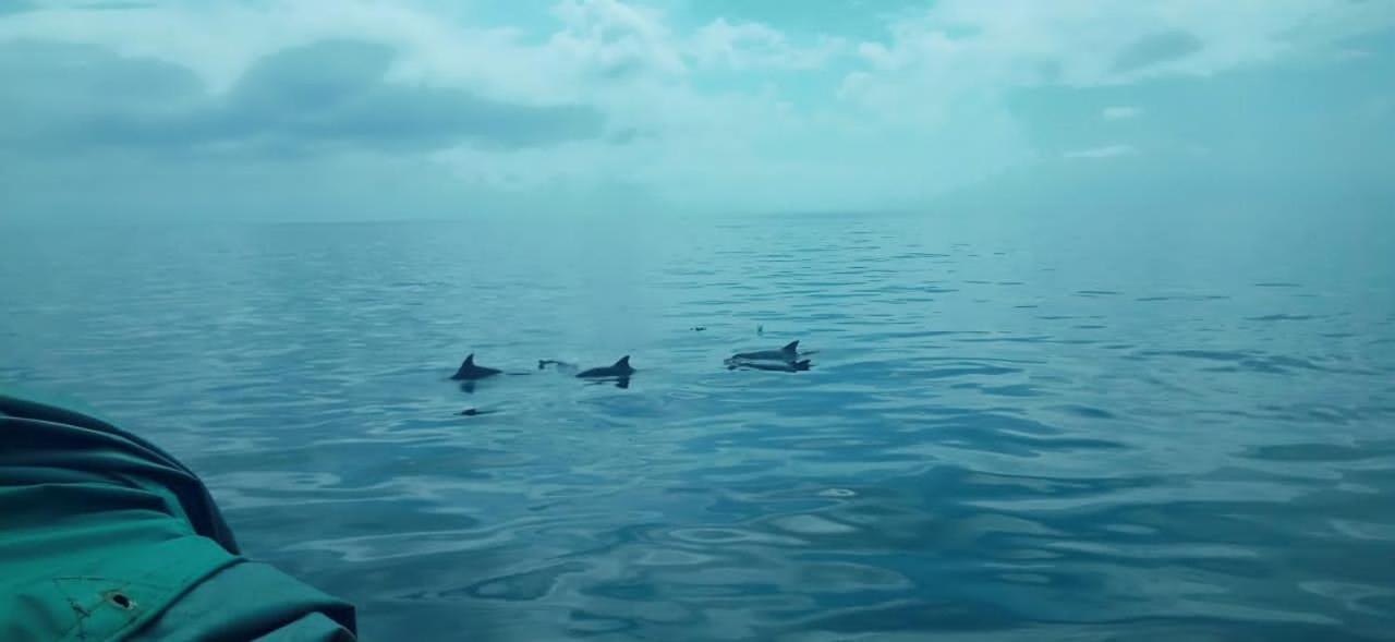شقة Wasini Raha Snorkeling And Diving المظهر الخارجي الصورة